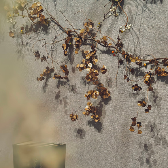 【ドライフラワー壁飾り】枝物を楽しむ　暮らしを豊かに 1枚目の画像