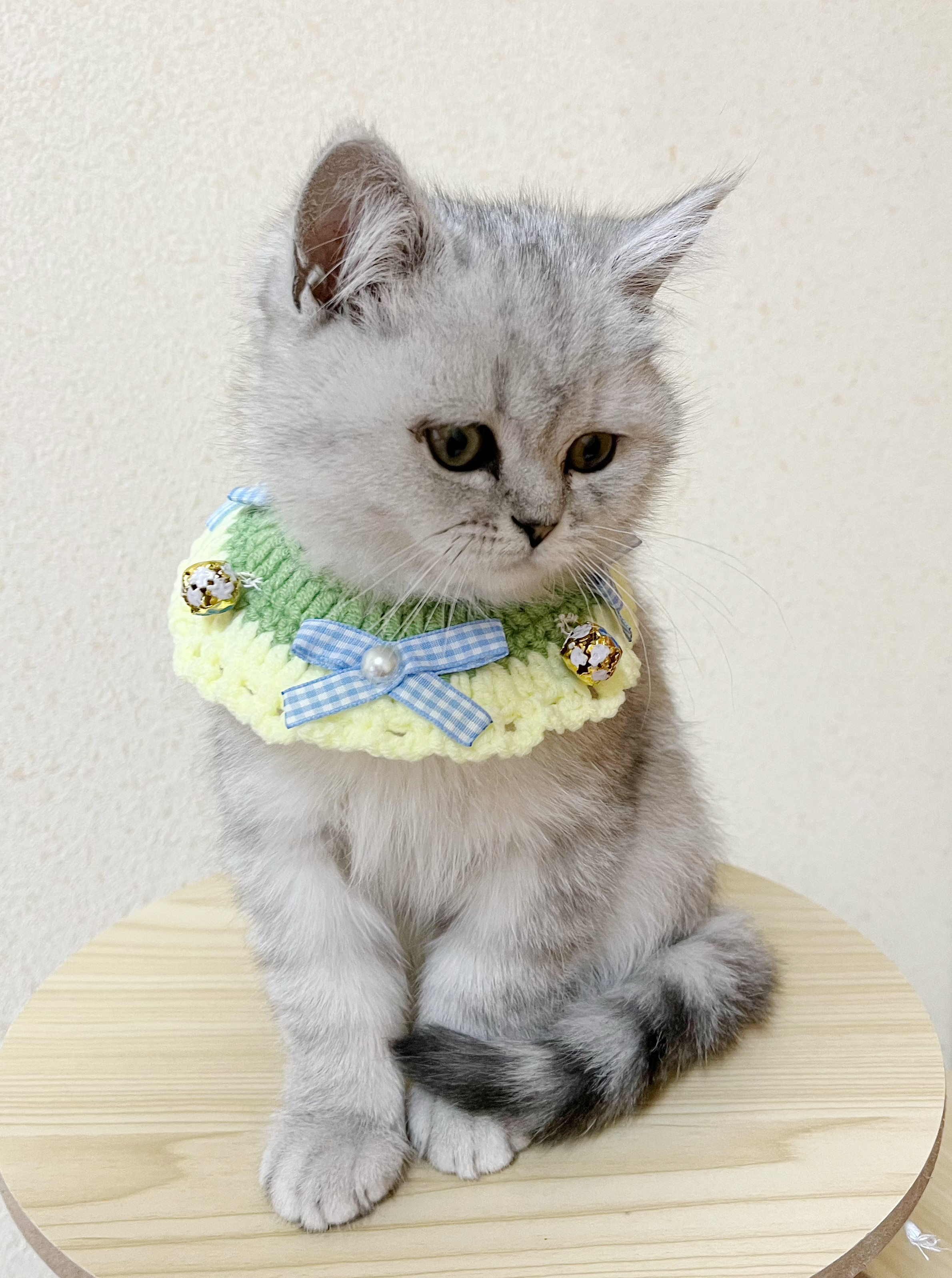 その他 CAT 短毛シュシュ(パープル①)わんちゃん猫ちゃん用 （お客様の猫