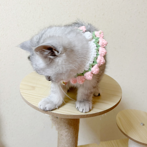 シュシュ 猫、犬の首輪 スタイ（鈴なしもok） No:003 リード