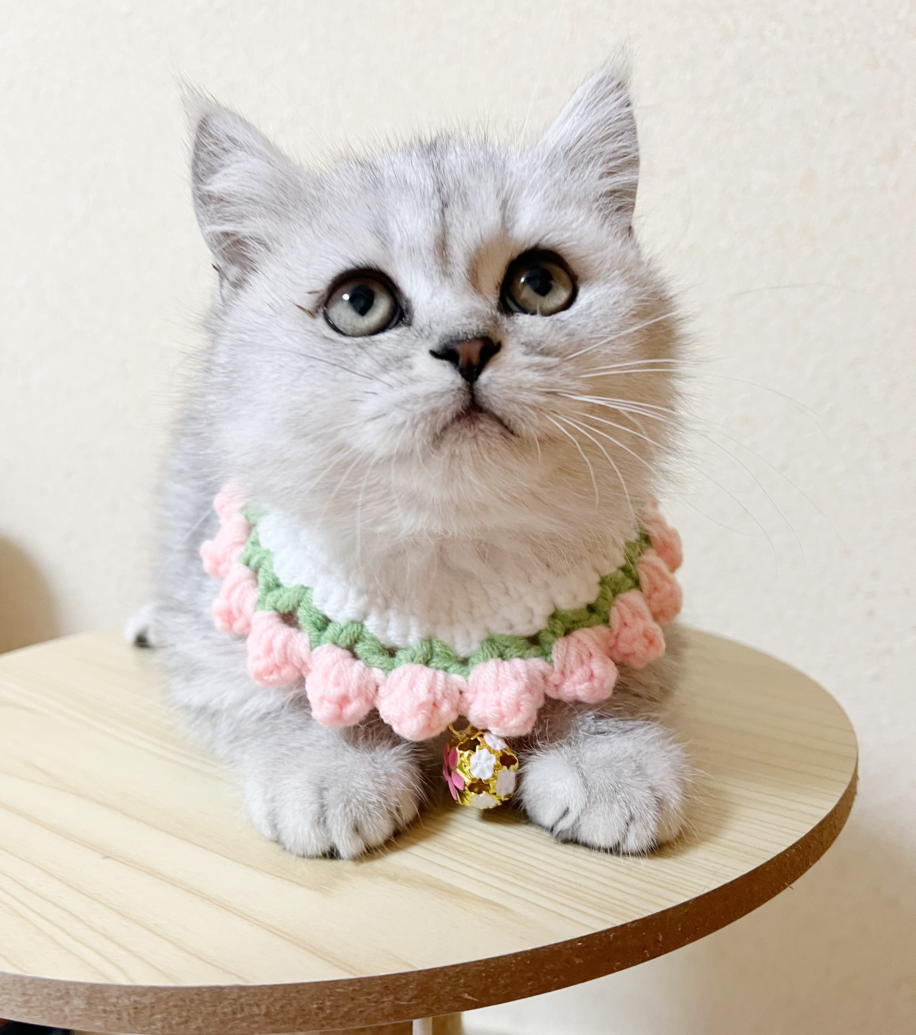 短毛シュシュ、スチームパンク(ダークグレー)わんちゃん猫ちゃん用 短毛シュシュ、スチームパンク(ダークグレー)わんちゃん猫ちゃん