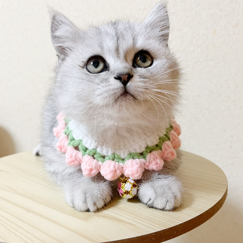 短毛シュシュ、ハイビスカス柄、わんちゃん猫ちゃん用