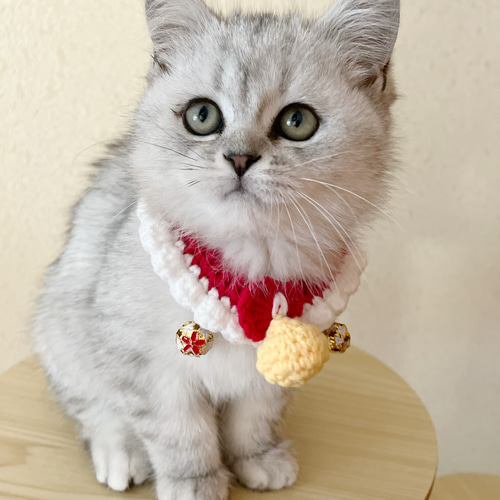 短毛シュシュ、ストライプアリス(ブルー)わんちゃん猫ちゃん用
