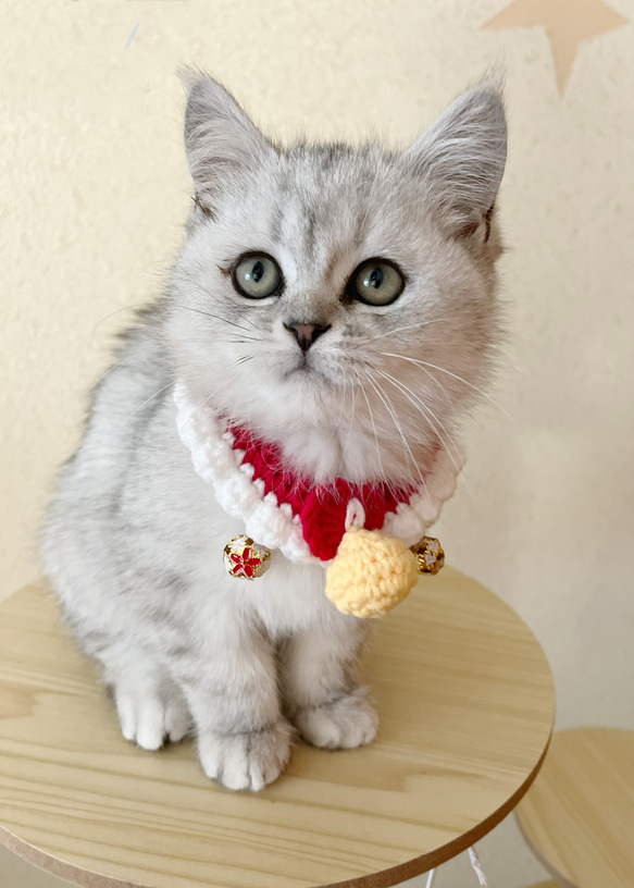 短毛シュシュ、(ハイビスカス柄)わんちゃん猫ちゃん用 ハイビスカス柄、短毛シュシュ、わんちゃん猫ちゃん用