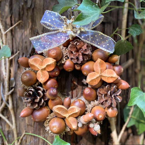 専用です✾どんぐりアート 通年タイプリース❨大サイズ❩ ファミリー