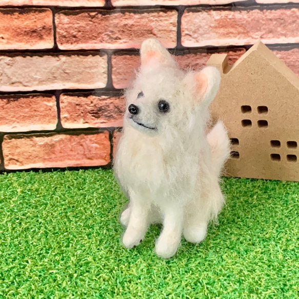 【受注制作】羊毛フェルトのおすわりロングコートチワワ　犬のぬいぐるみ　　　 2枚目の画像