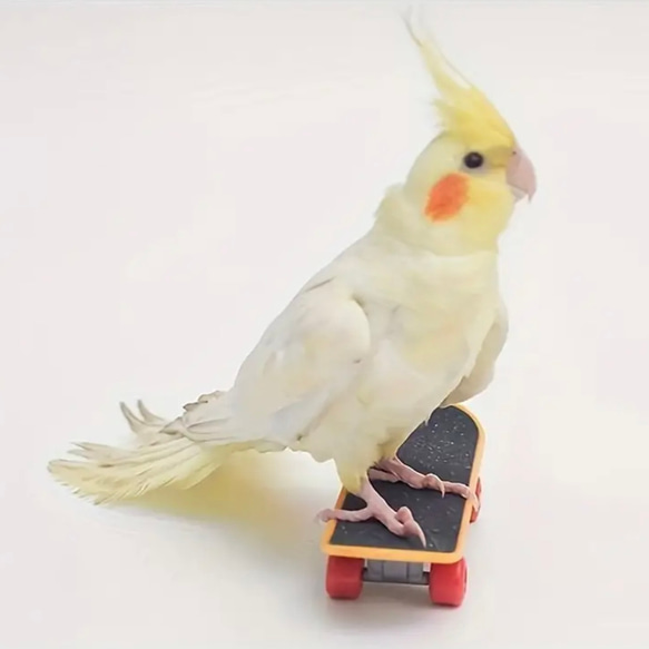 ミニ　スケボー　鳥　インコ　玩具　指スケ　トイ　バード　小鳥 3枚目の画像