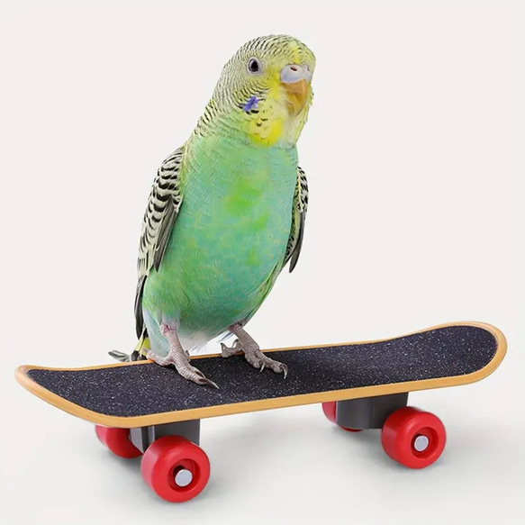 ミニ　スケボー　鳥　インコ　玩具　指スケ　トイ　バード　小鳥 2枚目の画像