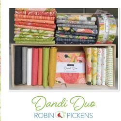 「Dandi Duo」moda Charm Pack (カットクロス42枚)　Robin Pickens 3枚目の画像