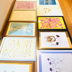 sale展示イラスト3枚セット花の絵、みやこわすれ、レウカデンドロン、母の日の花束 8枚目の画像