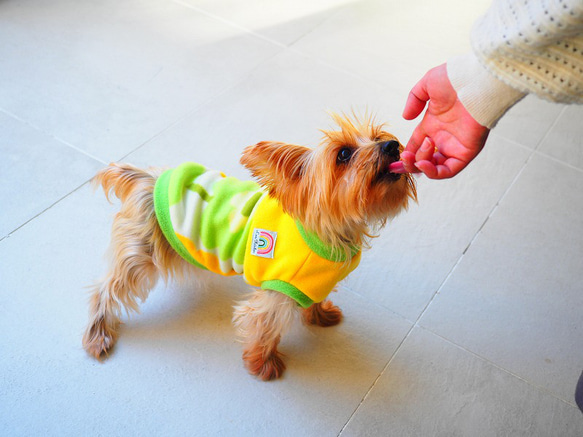 犬服　きいろいおはなのタンクトップ　イエロー×ライム 11枚目の画像