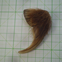 珍しい乳白色入り肉球・毛付きヒグマ爪 ④ その他素材 やまび子