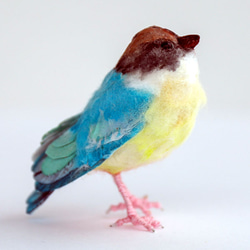 土佐和紙×ひよこ窯　「八色鳥」（やいろちょう）　～小さな小鳥シリーズ～ 2枚目の画像