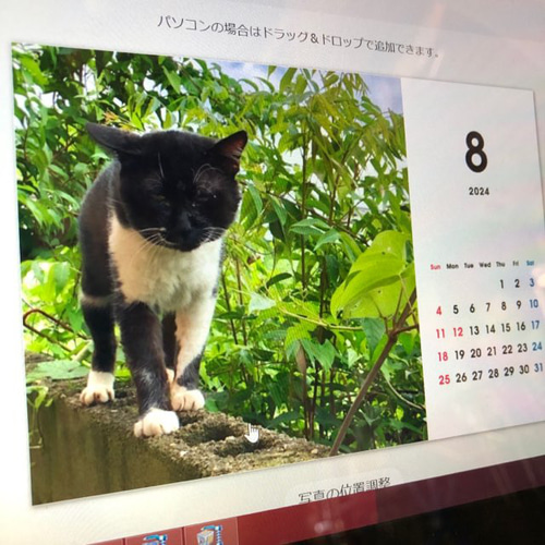 タキちゃんカレンダー」 2024年卓上カレンダー 木製スタンド付き