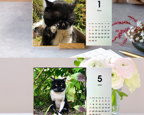 タキちゃんカレンダー」 2024年卓上カレンダー 木製スタンド付き