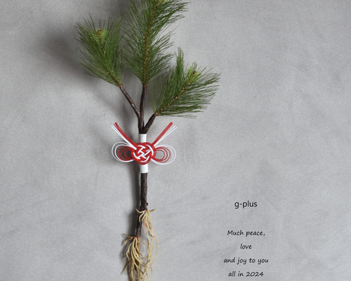 正月飾り 松の葉と松ぼっくり　水引 正月飾り 松の葉と松ぼっくり 水引