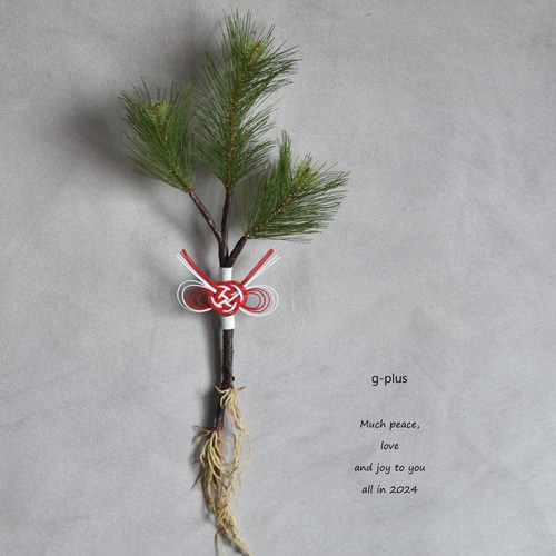 枯れない根引松(小45cm) 紅白水引 お正月飾り アーティフィシャル