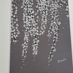 SALE展示イラスト3枚セット花の絵花言葉　ヒイラギ、アリウム、雪柳 4枚目の画像