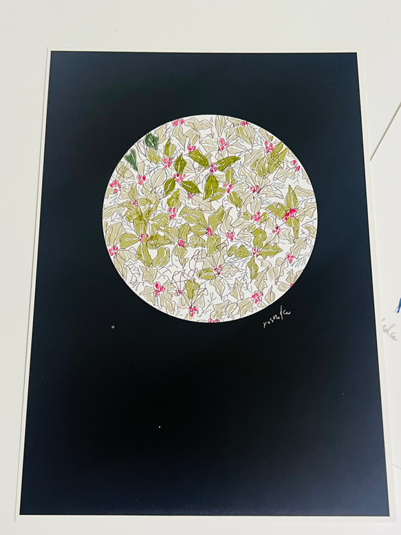 SALE展示イラスト3枚セット花の絵花言葉　ヒイラギ、アリウム、雪柳 2枚目の画像