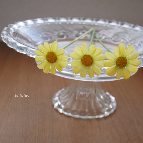 クレイフラワー　マーガレット5本セット クレイフラワー マーガレット5本セット 2025年最新】クレイ