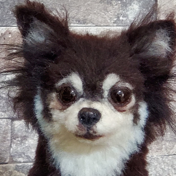羊毛フェルトオーダーメイド、受注制作、羊毛フェルト犬、ペットロス 1枚目の画像