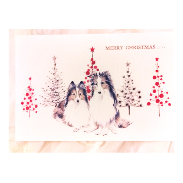 わんこのイラストのクリスマスカード（ポストカード）５枚セット 2枚目の画像
