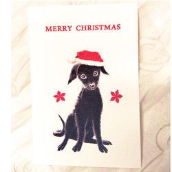 わんこのイラストのクリスマスカード（ポストカード）５枚セット 10枚目の画像