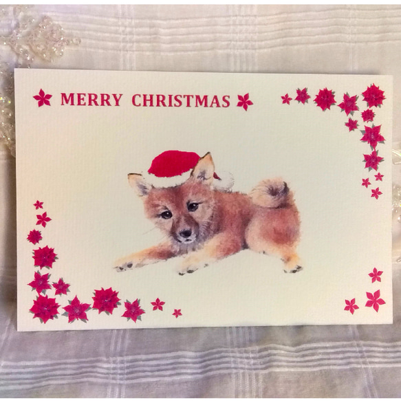 わんこのイラストのクリスマスカード（ポストカード）５枚セット 4枚目の画像