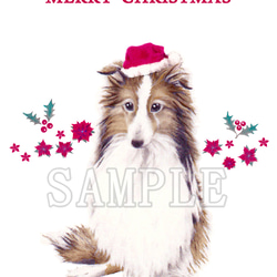 わんこのイラストのクリスマスカード（ポストカード）５枚セット 7枚目の画像