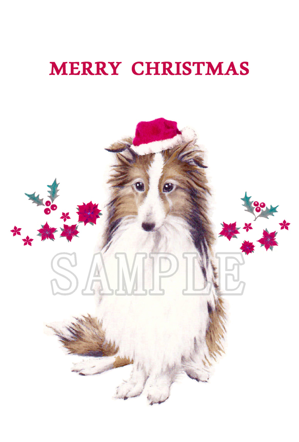 わんこのイラストのクリスマスカード（ポストカード）５枚セット 7枚目の画像