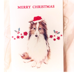 わんこのイラストのクリスマスカード（ポストカード）５枚セット 6枚目の画像