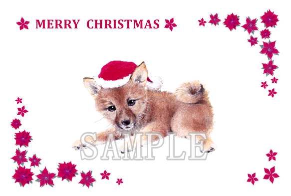 わんこのイラストのクリスマスカード（ポストカード）５枚セット 5枚目の画像