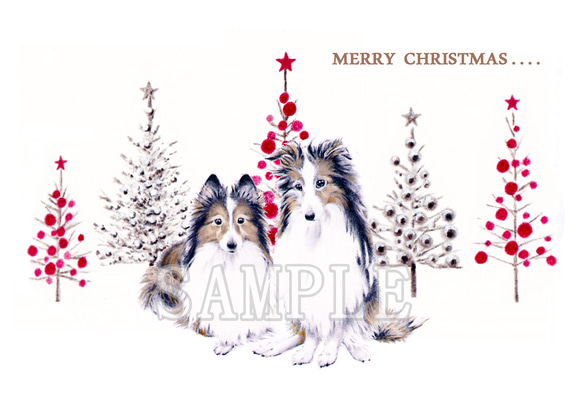 わんこのイラストのクリスマスカード（ポストカード）５枚セット 3枚目の画像