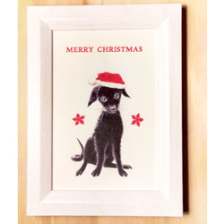 選べるポストカード３枚セット　NO.２５　わんこのイラストのクリスマスカード（黒わんこ・サンタ帽） 5枚目の画像