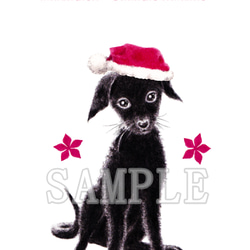 選べるポストカード３枚セット　NO.２５　わんこのイラストのクリスマスカード（黒わんこ・サンタ帽） 1枚目の画像