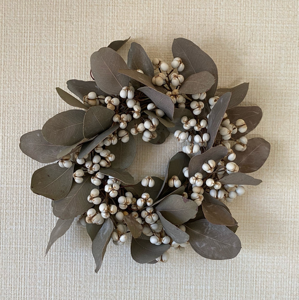 専用＊winter＊木の実イロイロ＆ポポラス ドライフラワーリース 専用＊winter＊木の実イロイロ＆ポポラス ドライフラワーリース 専用