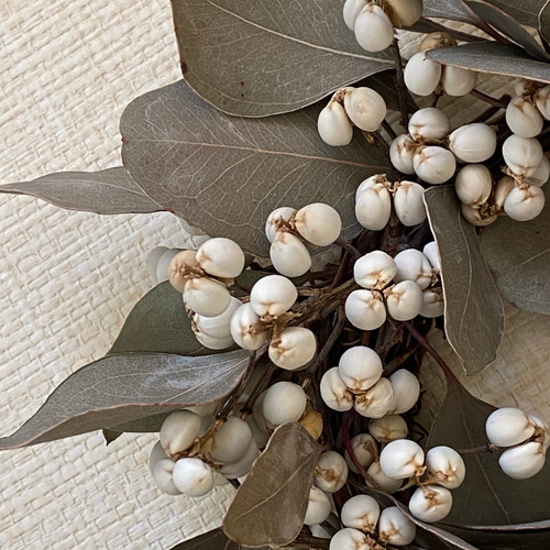 グリーンインテリア・ドライフラワー】ユーカリポポラスとナンキンハゼ