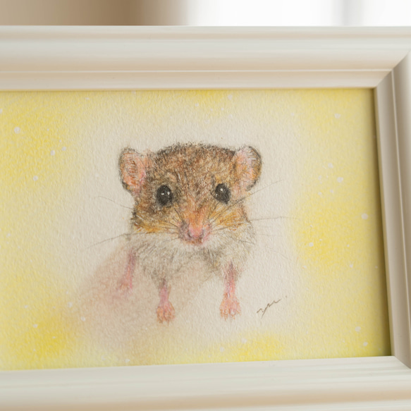 【原画・フレーム付き】「マカロニマウス」　パステル・色鉛筆画　ファットテールジャービル　動物　ネズミ　ハムスター　ペット 3枚目の画像
