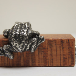 カエル　ビーフウッド（木材）ピューター（金属）キーホルダー、バッグチャーム，置物 6枚目の画像