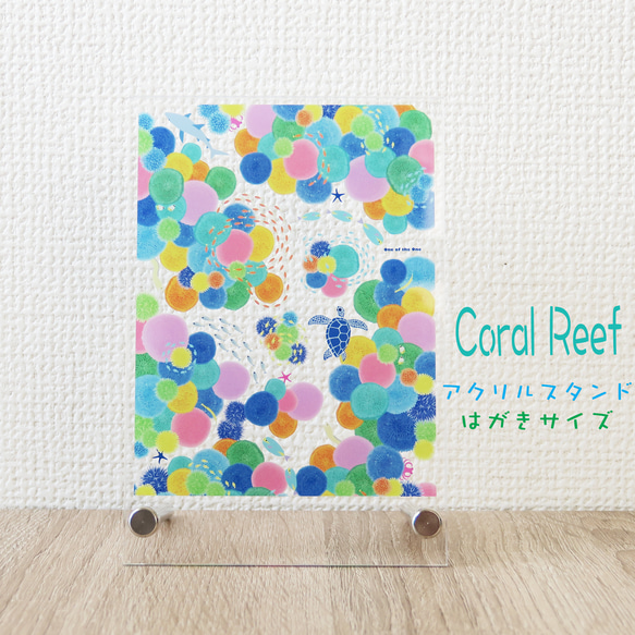 ＜Coral Reef＞：アクリルスタンド（組み立て式）はがきサイズ＜受注後制作＞ 1枚目の画像