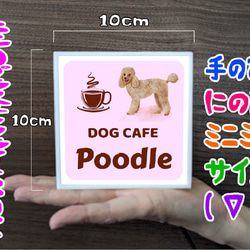 【名入れ】ドッグカフェ プードル 犬 いぬ イヌ 店舗 自宅 ミニチュア ランプ 照明 看板 置物 雑貨 ライトBOX 5枚目の画像