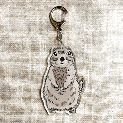 アクリルキーホルダー リチャードソンジリス♬ キーホルダー tanuki-ms