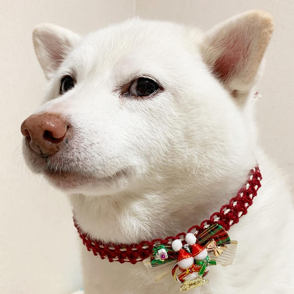 *New*【イベント価格】完成品クリスマスチョーカー【リボン飾り】（超小型犬用～大型犬用） 14枚目の画像