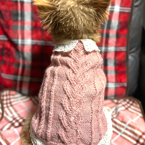 手編みセーター わんこ用 レース風仕上げ ペット服