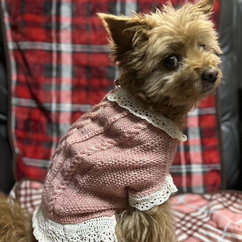 手編みセーター わんこ用 レース風仕上げ ペット服