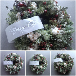 wreath / リース / ドアリース / ドライフラワーリース 3枚目の画像