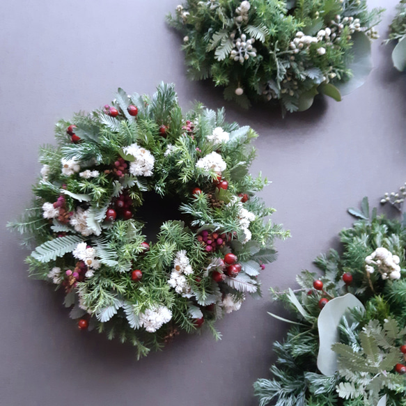 wreath / リース / ドアリース / ドライフラワーリース 1枚目の画像