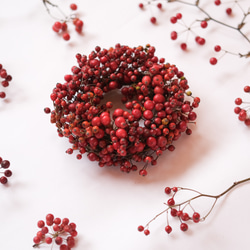 小さな野バラの実とサンキライの赤い実リース＊ドライフラワーリース 5枚目の画像