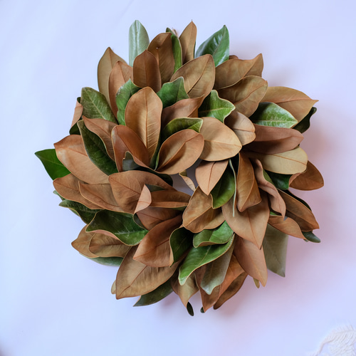 マグノリアリース＊タイサンボクリース＊ドライフラワーリース リース