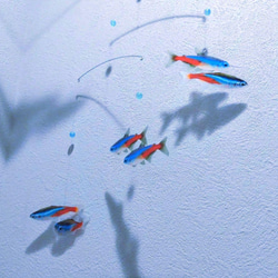 熱帯魚　ネオンテトラ　モビール 7枚目の画像