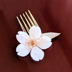 【受注制作】Everpink. 本物のお花　こだわりの花びらで仕上げる桜とゴールドリーフの髪飾り　かんざし/ヘアコーム 7枚目の画像
